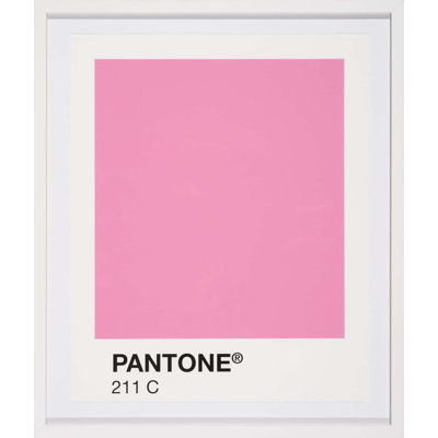 " Colour Swatch "