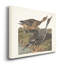 « Pl 322 », impression sur toile tendue-901799377