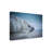 Bolog Lucie Pesakova Baby Seal Canvas Art-109226609