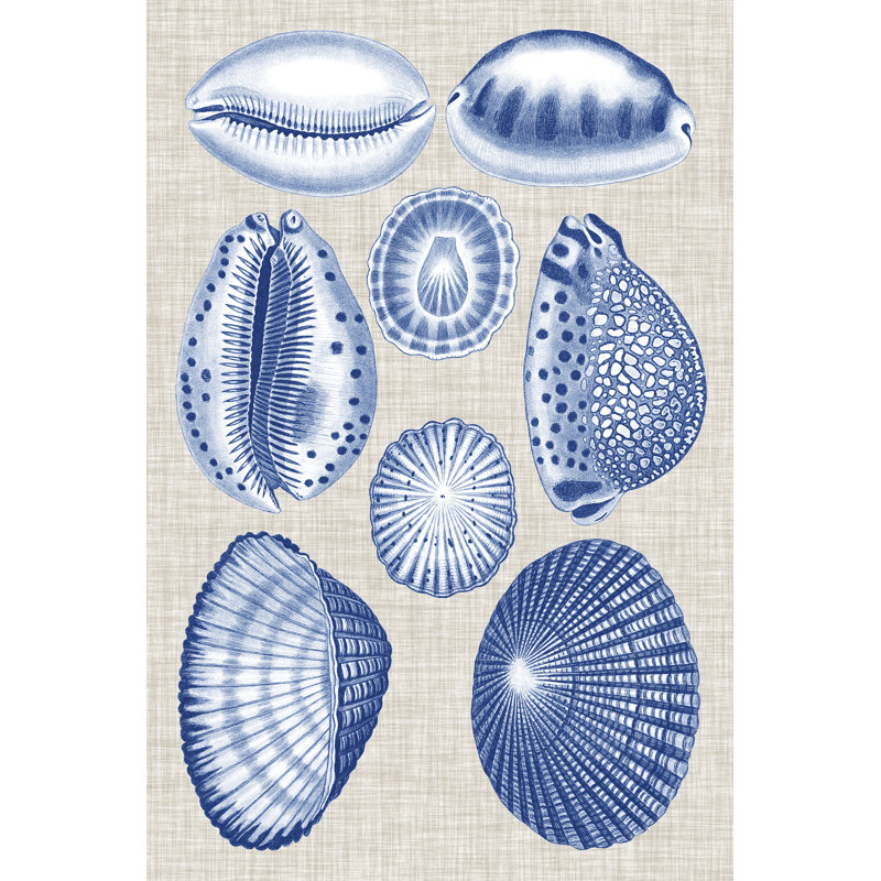 Navy & Linen Shells I by Vision Studio - Painting, 122cm H x 81cm W, Wrapped Canvas