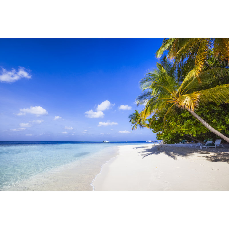 Exotic Island by Cinoby, 24'' H x 36'' W