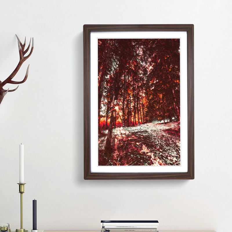 Forest Sunlight - Framed Print, 48cm H x 36cm W x 2cm D, Walnut Framed