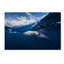 «Humpback Whale and the Sky», impression sur toile tendue-23536266