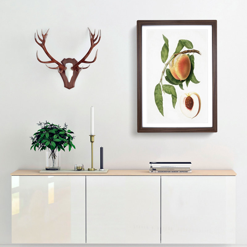 Juicy Peach Tree by Giorgio Gallesio - Picture Frame Graphic Art Print, 65cm H x 48cm W x 2cm D, Walnut Framed