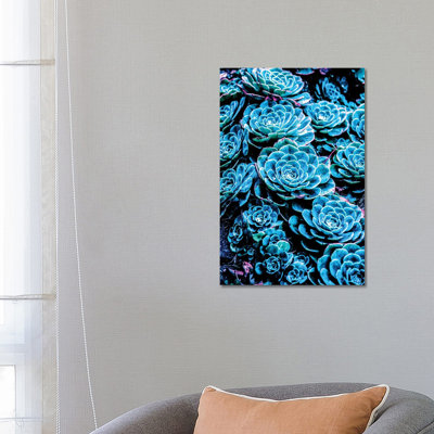 Cactus 1 Piece Wrapped Canvas Wall Art