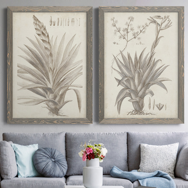 Sépia plantes exotiques III - ensemble de 2 reproductions de dessins encadrés, Toile avec cadre gris