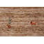 Tapis tribal en laine Camel Gabbeh 8 x 10 po