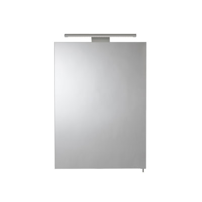500mm W 766mm H Surface Frameless Medicine Cabinet Mirror 2 Adjustable