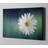'Wood Series: A Daisy' Canvas Wall Art-24714590