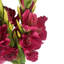 Leaf Design Large Artificial Gladioli Stems 115cm Faux Plant-114785208-114785210