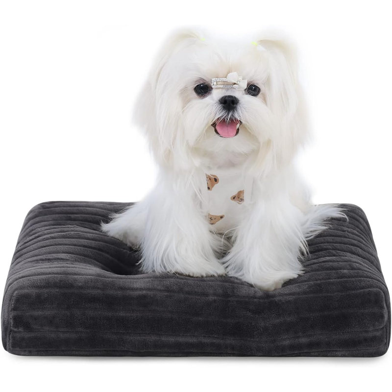 Lits pour chien Eibhlis, H 2 po x l 11 po x P 17 po, Gris