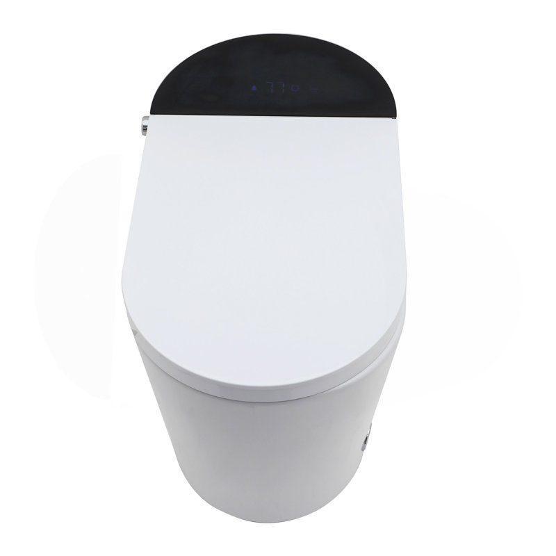 Toilette intelligente avec bidet intégré