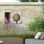 Kurt Shaffer Garlic Seed Head Study On Pink Outdoor  Canvas