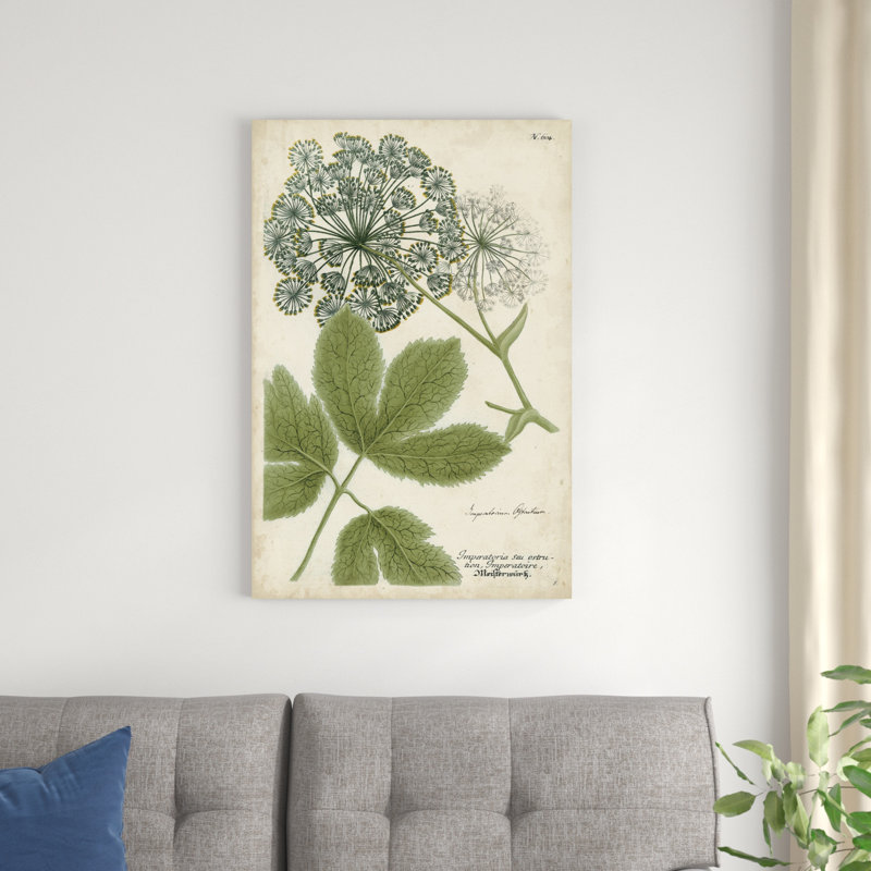 Queen Anne's Lace, H 36 po x l 24 po x P 1,25 po
