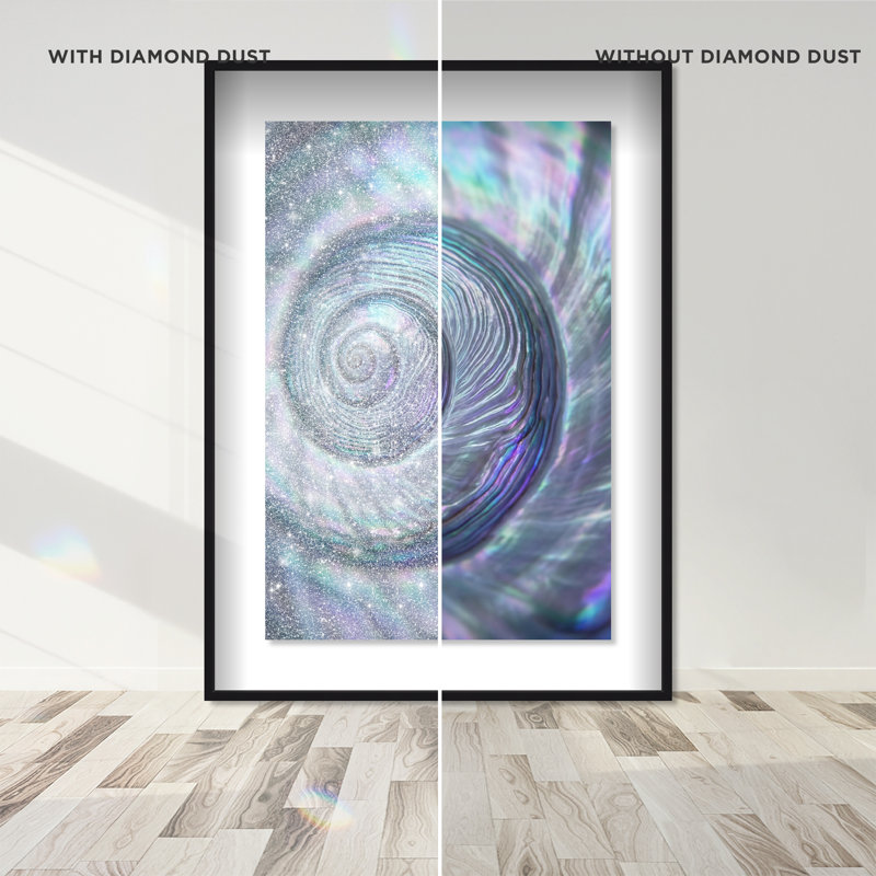 Sea Spiral Shadowbox Nautical & Beach Print by Oliver Gal, Black Frame, 10 x 15, 46.5"H x 31.5"W, Black Shadowbox