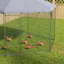 «Ezariah Walk In Chicken Run»-1765016179