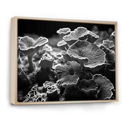 Coral Serenity en noir et blanc II, reproduction d'art sur toile