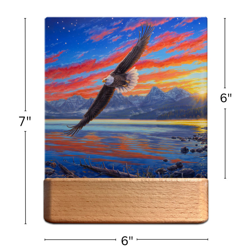 Freedom Flight LED Nightlight