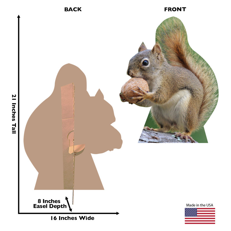 Squirrel