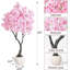 Plant-919532863