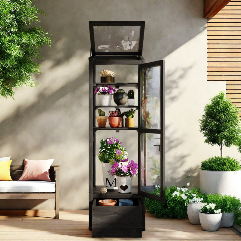 Black Fir Wood Garden Greenhouse with Adjustable Shelves and Storage Box