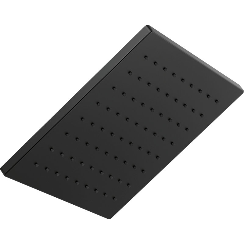 Delta Rain Adjustable Shower Head, Matte Black