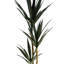 Anivea 170cm Faux Yucca Tree in Pot