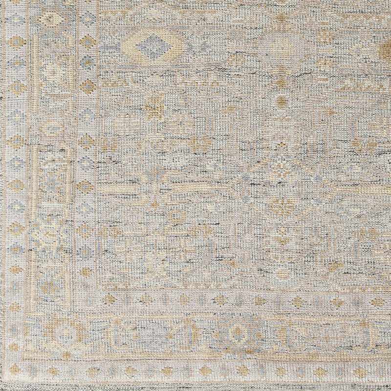 Oriental Area Rug, Rectangle 4' x 6'