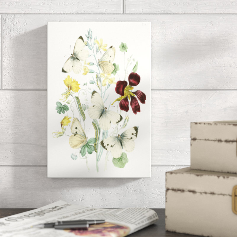 British Butterflies IV - Painting Print, Wrapped Canvas, 30cm H x 20cm W
