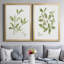 Toile encadrée Herb Sage Premium - prête à être accrochée-1062113810-1062113800