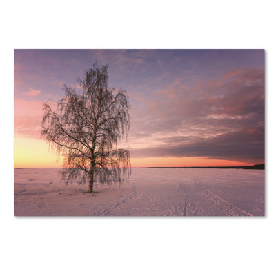'Majesty of Nature' Photographic Print on Wrapped Canvas