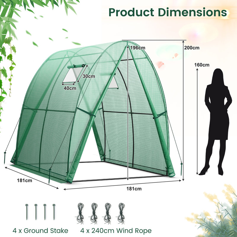 Bryndon 6 Ft W x 6 Ft D Greenhouse, Green