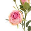 Faux Stem Vintage Rose White 540mm (6pk)-172970517