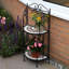 Raf Plant Stand