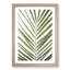Plat Leaf - Picture Frame Graphic Art Print-56862927-56862931