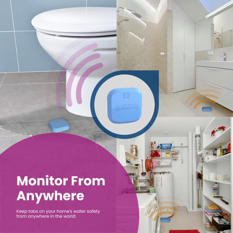 Single Gateway Single Sensor Water Leak Detect Kit