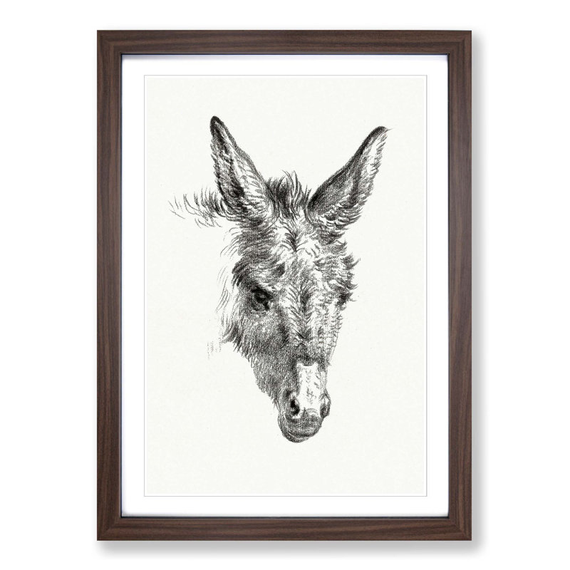 The Sketch of a Donkey by Jean Bernard - Picture Frame Drawing Print on MDF, Walnut Framed, 48cm H x 36cm W x 2cm D