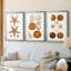Coastal Curiosity I  -Custom Framed  Premium Print W Matt - 3 Pieces