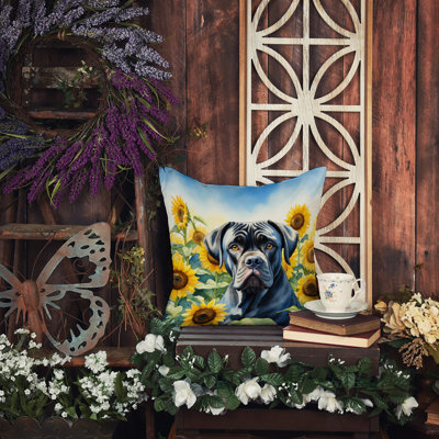 Coussin décoratif intérieur / extérieur Autre / Sans motif