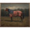 Cheval avec couverture drapeau