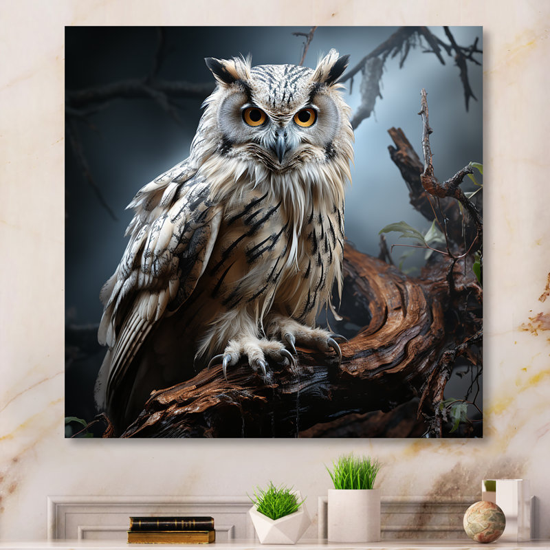 Nocturnal Owl Portrait II - Owl Wall Art, Wrapped Canvas, 30" H x 30" W x 1.5" D