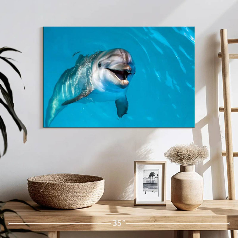 Brampt Dolphin's Smile, 16" H x 24" W