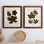 Autumnal Leaves III - 2 Piece Painting-814180506-814180505-813424195