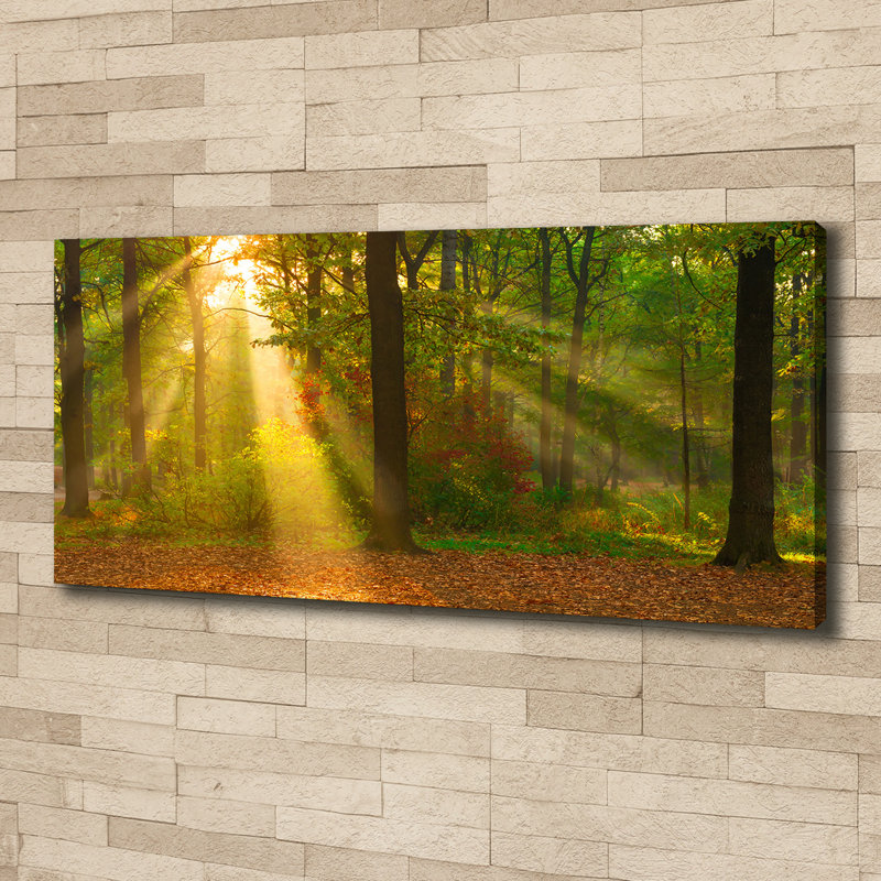 Forest In The Sun - No Frame Print on Canvas