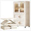 Armoire de rangement latérale pliante de 25,59 po de large avec porte magnétique et armoire de rangement en plastique avec roulettes