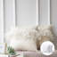 Coussin décoratif en plumes-1263361731-1263361754-1228598421