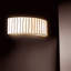 Curvas 2 - Light Flush Mounted Sconce-1643099731