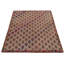 Hand Knotted Wool Area Rug