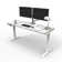 Height Adjustable Sit to Stand Desk