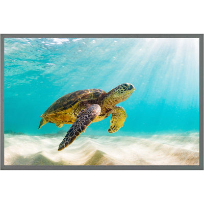 Abdisalam Single Picture Frame Print